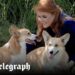 Sarah Ferguson ‘discussed cloning Queen’s corgis for reality TV’