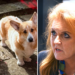 Sarah Ferguson has dismissed reports she’s cloning Queen Elizabeth’s corgis for a new reality TV show.