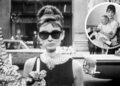 Sean Hepburn Ferrer Shares Thoughts on Audrey Biopic (Exclusive)