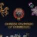 See the Drone Show That Followed Saturday's Chinese New Year Parade