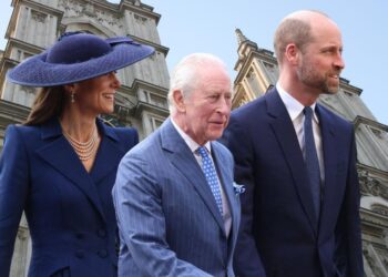 Sign British Establishment Is Turning on Royal Family