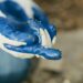 Sustainable Film Series explores plastic pollution