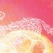 The 7 Zodiac Signs Taking Major Leaps of Faith This Month