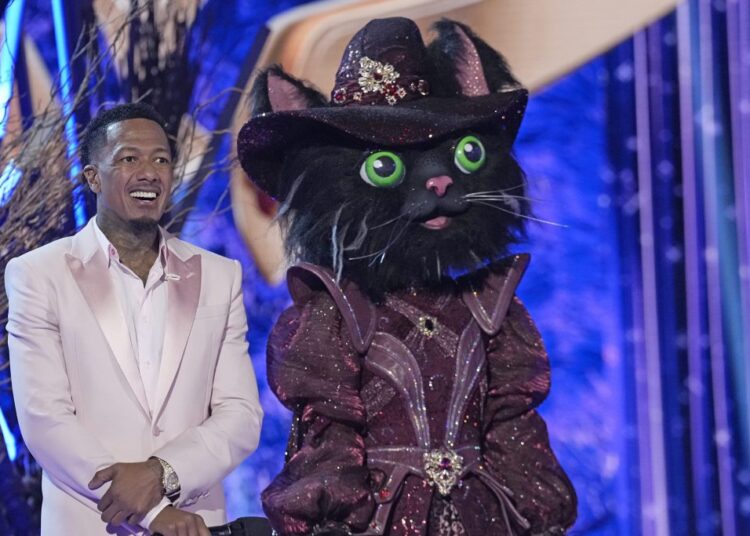 The Masked Singer Season 14 Episode 11 Reveal: Pangolin
