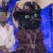 The Masked Singer Season 14 Episode 11 Reveal: Pangolin