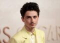 Timothée Chalamet Is Facing Criticism for His Controversial Statement About the Arts