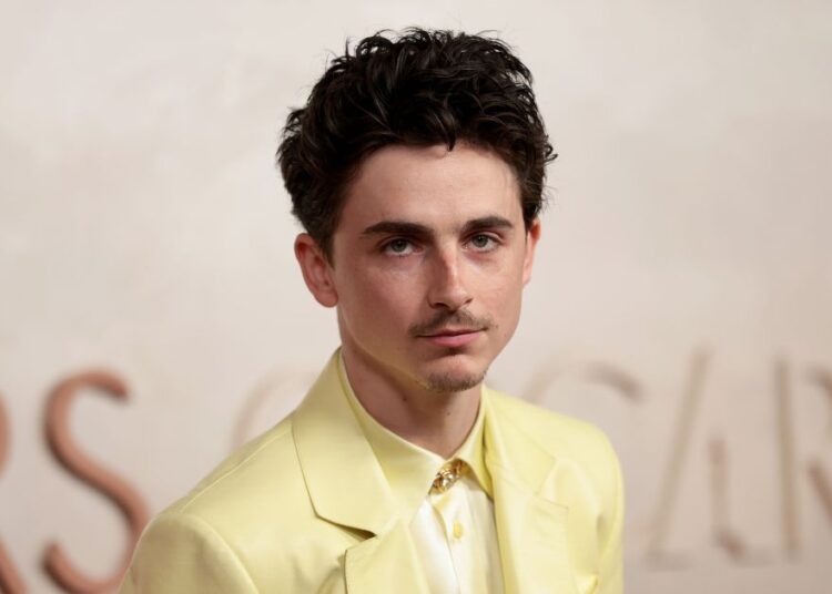 Timothée Chalamet Is Facing Criticism for His Controversial Statement About the Arts