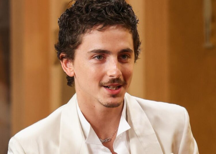Timothée Chalamet's ballet and opera comments' backlash proves his point