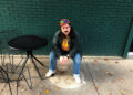 Stereogum home