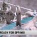 Utica Zoo Celebrates Spring and Ramadan with Special Events | Entertainment
