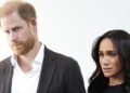 WHO chief sets record straight on Prince Harry and Meghan's tour | Royal | News