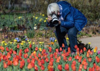 Weekend fun in Wichita: Big concert, springtime activities