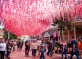 What’s new at Dollywood in 2026? New roller coaster, nighttime events