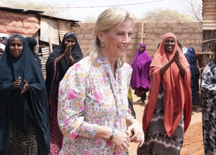 Where to buy Duchess Sophie's espadrilles under £150 | Royal | News