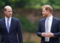 Why Prince William Is ‘Avoiding’ Harry’s Latest Peace Offering
