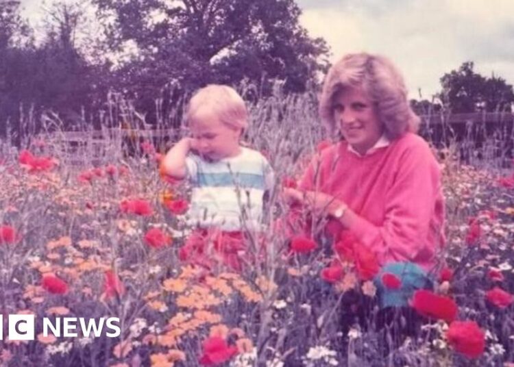William shares unseen photo with Princess Diana for Mother's Day - BBC