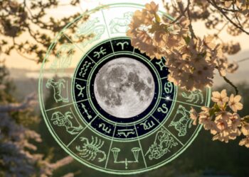Your horoscope for the week ahead: Slow down to enjoy life’s simple pleasures
