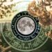 Your horoscope for the week ahead: Slow down to enjoy life’s simple pleasures