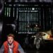 ‘Back to the Future’ musical tour is all spark, no substance | Entertainment
