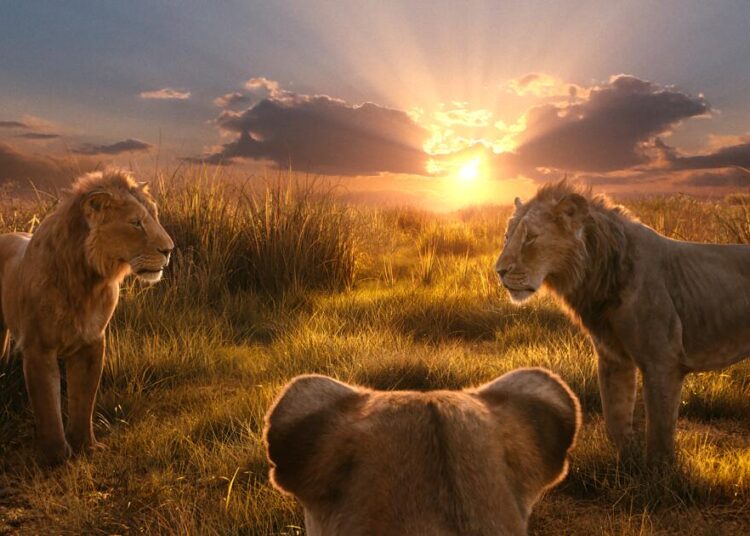 ‘Lion King’ composer sues comedian for botched translation