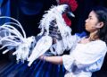 ‘White Rooster’ needs more work | Arts & Entertainment