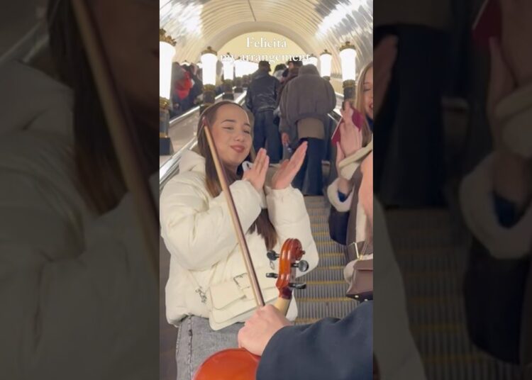 Felicità, my arrangement #violin #violinmusic #music #violincover