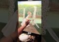 An artist’s epic painting mishap turned into a magical veil!