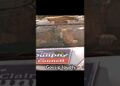 Gossip loudly.#funny #shorts #shortvideo #series #fouryou