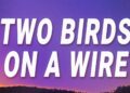 Regina Spektor – Two Birds On a Wire (Lyrics)