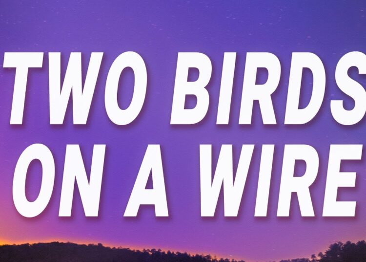 Regina Spektor – Two Birds On a Wire (Lyrics)