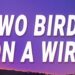 Regina Spektor – Two Birds On a Wire (Lyrics)