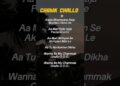 TRY WITH YOUR OWN VOICE 🤍- CHAMK CHALLO SONG LYRICS🎶#song#lyrics#songlyrics#trywithyourownvoice