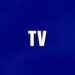 TV | Category | CELEBRITY JEOPARDY!