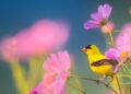 Easter Peaceful Hymns, Beautiful Relaxing Hymns, Peaceful Instrumental Music by Tim Janis