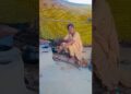 Piya Gaiswa Laai DaNa #shorts #dance #bollywood #song #music #officialaayushichauhan