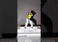 Chanel Tyla Paper Dance (Artist Version) #art #drawing #trending #viral #shorts #chanel