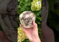 Hot Clay + Horse Hair = Mind-Blowing Art 🤯 #facts #shorts