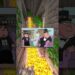 AI Vs All Artists! 🎨🤖