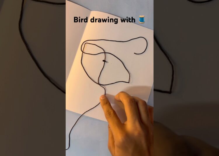 Bird drawing. THREAD ART 🧵. #howtodraw #art #drawing #artist #shorts