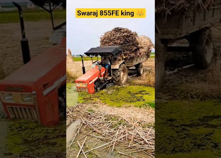 Swaraj 855FE king 👑 #song #hindisong #music #love #cover #sonalika #lovesong #swaraj855 #automobile