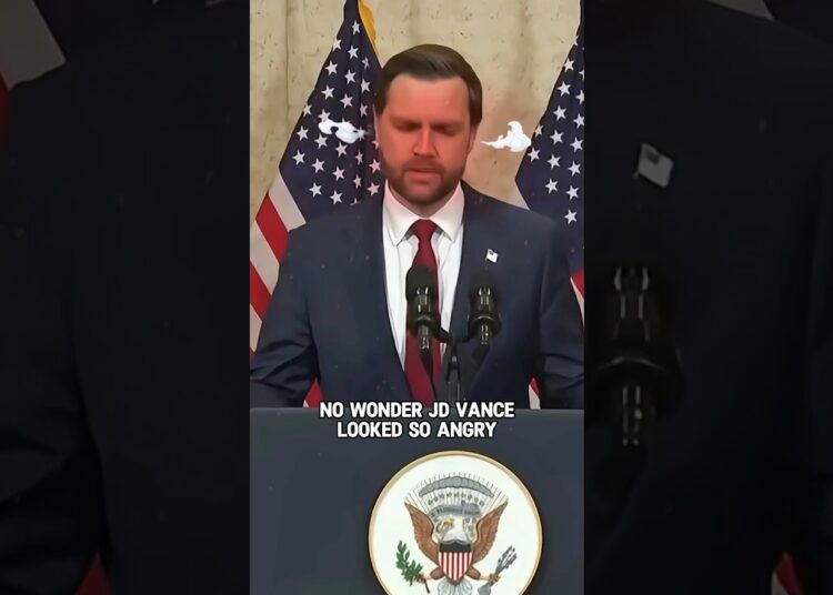 No wonder JD Vance looked so angry #shorts #shortvideo #trending #actress #celebrity