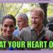 Harry & Meghan’s Australia Tour Shows What The Royal Family Is Missing. #royal #britishroyalfamily