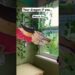 Your dragon if you… #paperdragon #papercraft #paperart #fypシ゚viral #artist #video #trend #trending