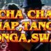 🔥CHA CHA SNAP/TANGO/CONGA/SWAY/NEW VERSION NO COPYRIGHT MUSIC 2026 LETS DANCE 💃