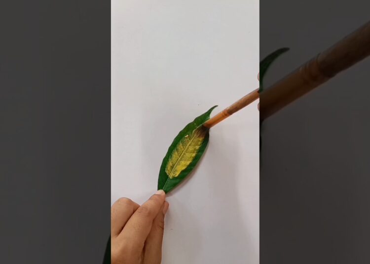 Cute panting #trending #art #drawling #painting #colors #shote #artist #sunflower #leaf 🌿🌻