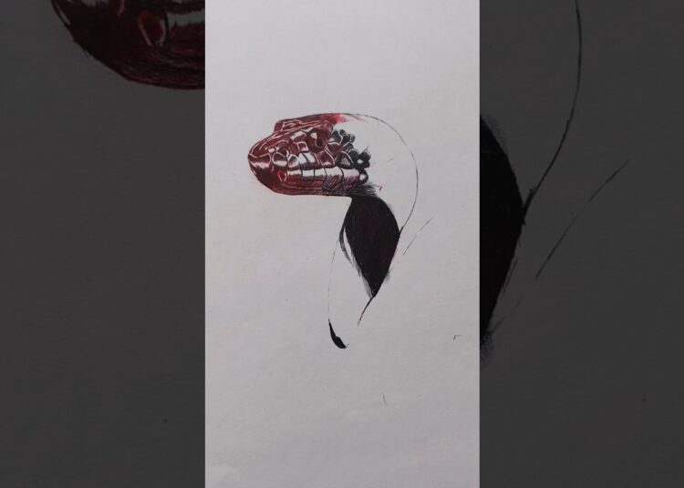 Snake art for professional artist #snake #art #artist #sketch #penart