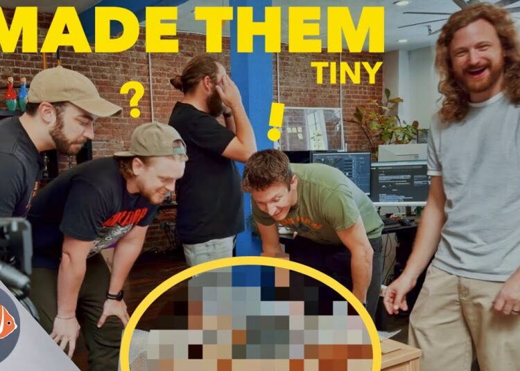 VFX Artists React to Being in a Diorama
