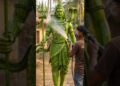 Poor Artist Creates Lord Shiva From Palm Leaves 😳🔥 Unbelievable Craft! #shorts #handcrafting #ai
