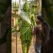 Poor Artist Creates Lord Shiva From Palm Leaves 😳🔥 Unbelievable Craft! #shorts #handcrafting #ai