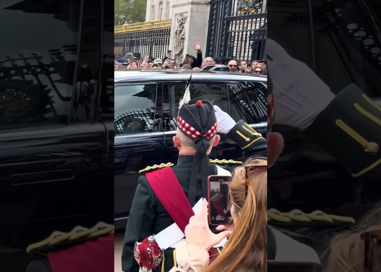 Royal Salute for Princess Catherine and Prince William 🫡
